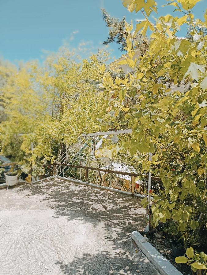 Heras Garden 瓦西利基 外观 照片