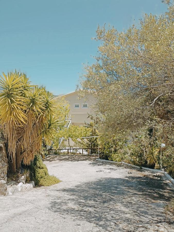 Heras Garden 瓦西利基 外观 照片